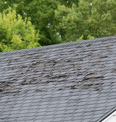 poor roof maintenance causing roof damage in new jersey