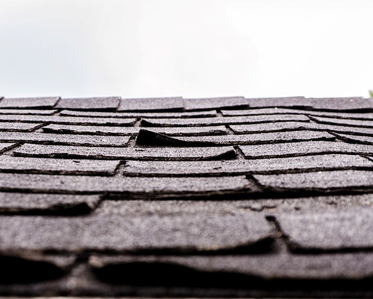 shingle damage found in a roof inspection in new jersey