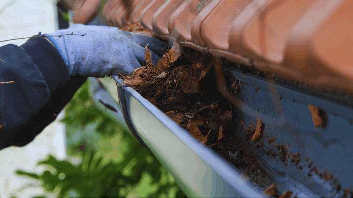 5 Common Gutter Problems to Look Out For as a Homeowner