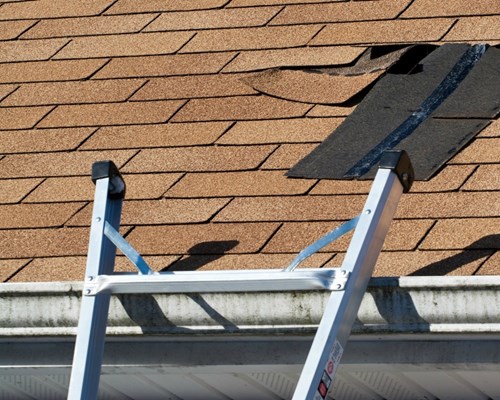 Annual Roof Inspection