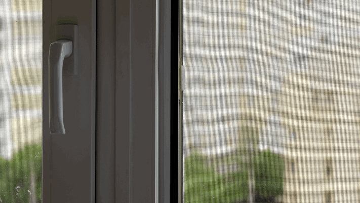 Best Window Frame Colors for Your Home