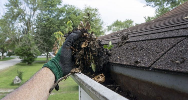 Clogged Gutters South Jersey