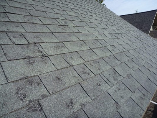 Hail Damage Roof