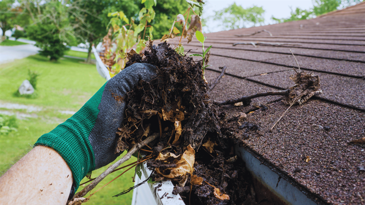 A professional cleaning gutters on a ladder to prevent water damage and improve home drainage.  