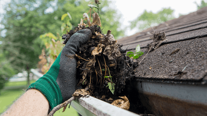 New Jersey gutter professional cleaning a gutter
