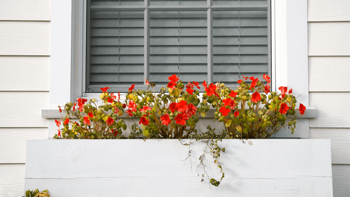 Window Installation South Jersey