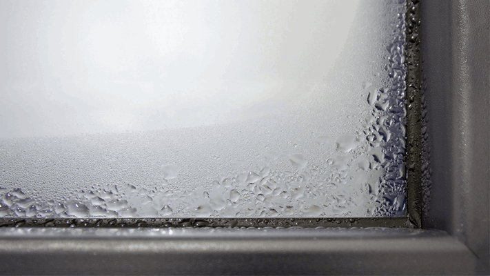Window Condensation Blog