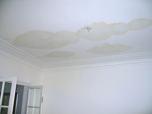 roof leak causes water stain
