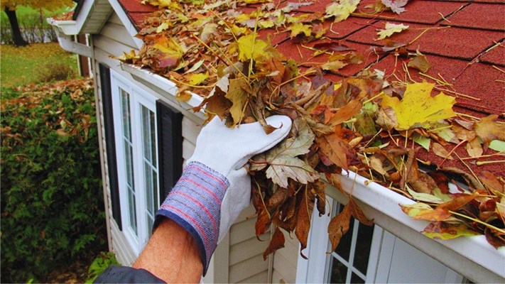 The Importance of Regular Gutter Maintenance and How to Do It