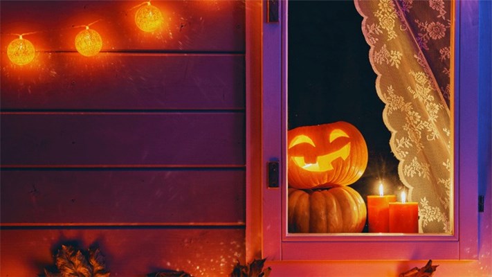 Decorating Your Windows for Every Season - Tips and Inspiration